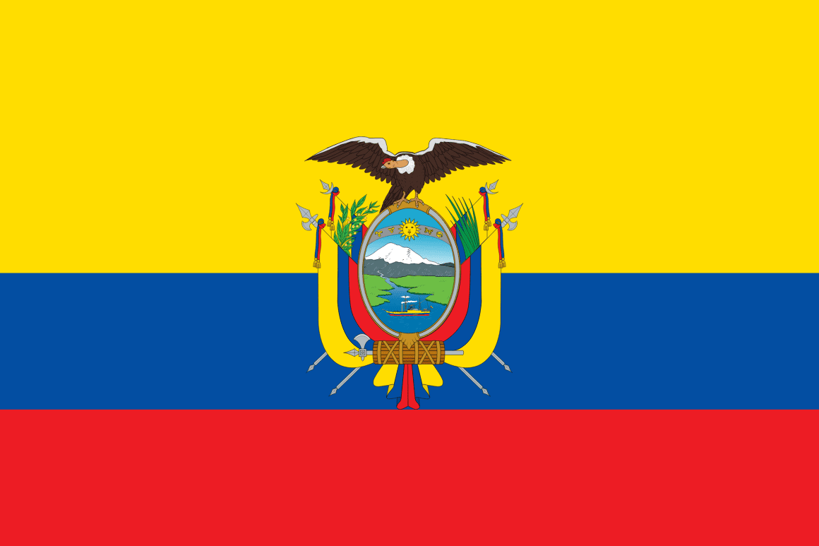 2026 FIFA World Cup Ecuador Hand-Held Fan Flag Set (50-Pack, Detachable Pole)