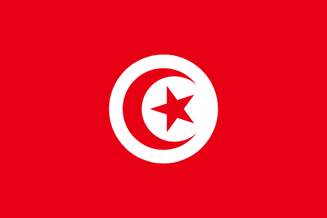 2026 FIFA World Cup Tunisia Hand-Held Fan Flag Set (50-Pack, Detachable Pole)