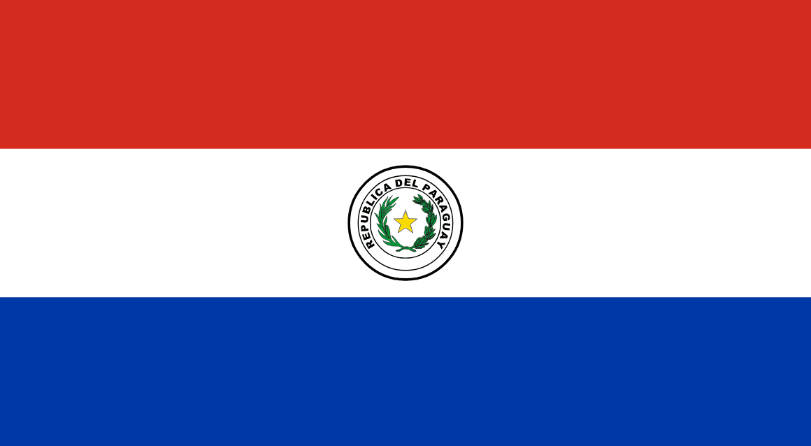 2026 FIFA World Cup Paraguay Hand-Held Fan Flag Set (50-Pack, Detachable Pole)