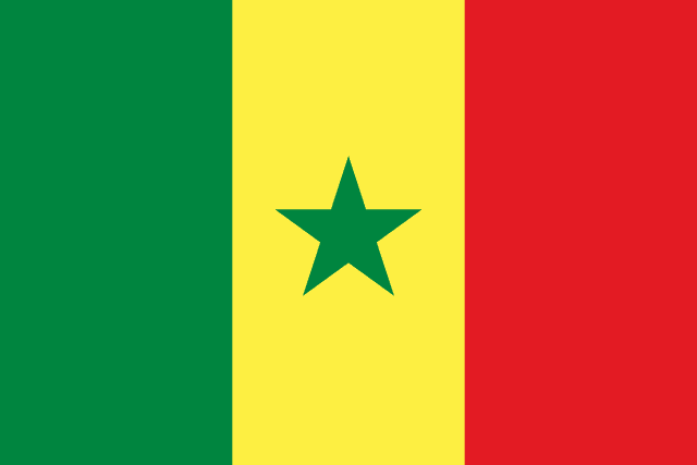 2026 FIFA World Cup Senegal Hand-Held Fan Flag Set (50-Pack, Detachable Pole)