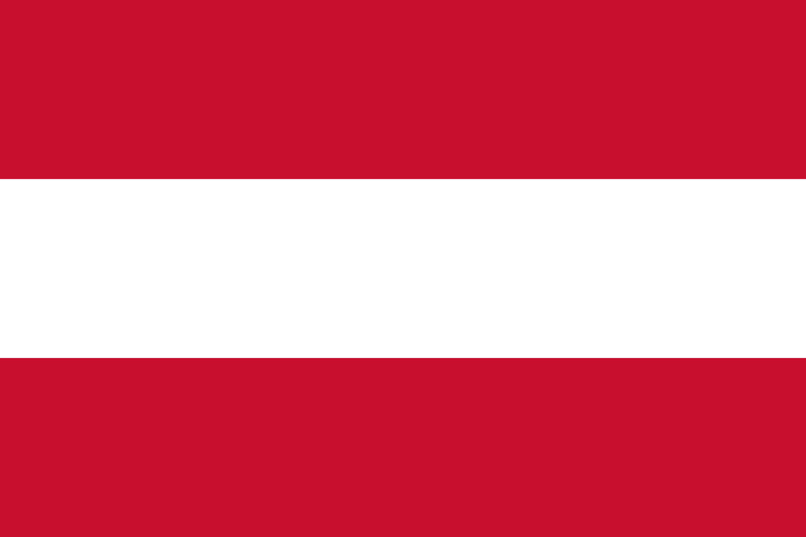 2026 FIFA World Cup Austria Hand-Held Fan Flag Set (50-Pack, Detachable Pole)