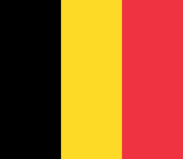 2026 FIFA World Cup Belgium Hand-Held Fan Flag Set (50-Pack, Detachable Pole)