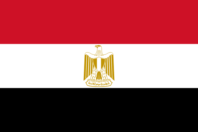 2026 FIFA World Cup Egypt Hand-Held Fan Flag Set (50-Pack, Detachable Pole)